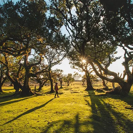 The Jolie - By The Ocean דירה *