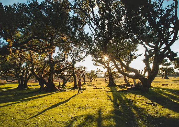 The Jolie - By The Ocean Lejlighed *